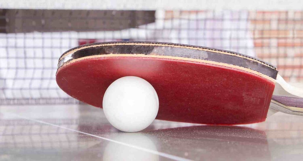 Best Ping Pong Paddles of 2021: Our Favorites 2 your guide to buying ping pong paddles