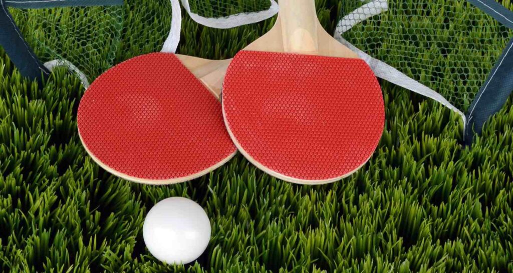 Best Ping Pong Paddles of 2021: Our Favorites 3 ping pong paddle blades including net and ball