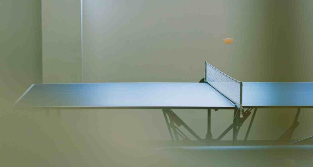 10 Best Ping Pong Tables in 2021: What to Look For 16 Which ping pong table brands are the best?