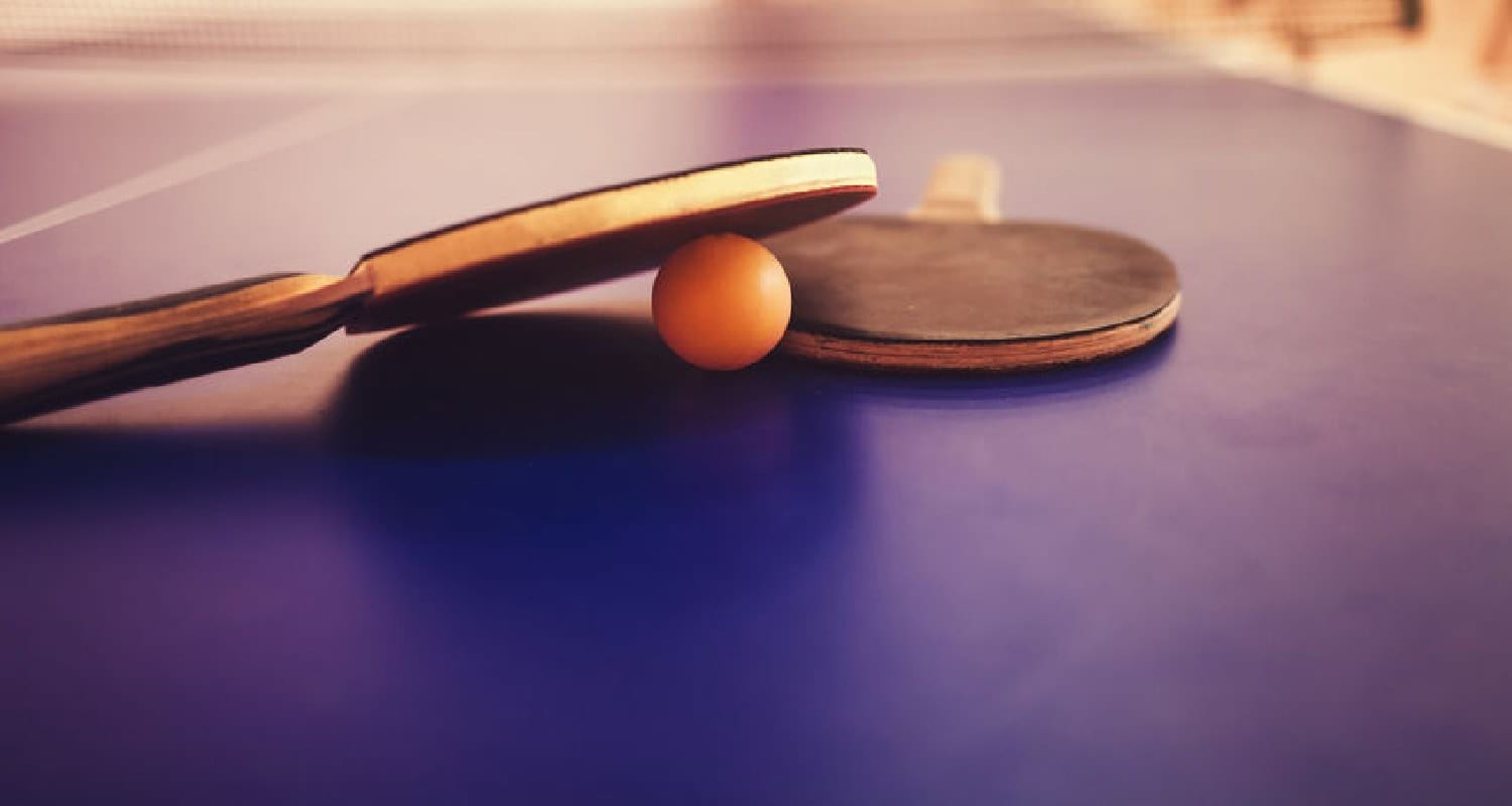 The Top 10 Best Table Tennis Rubbers Review 14 Ping Pong Rubber