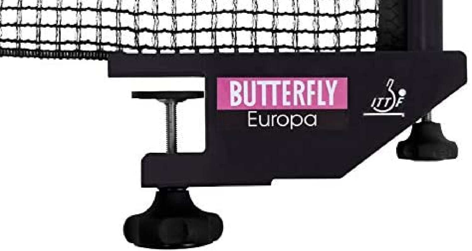 Butterfly Europa