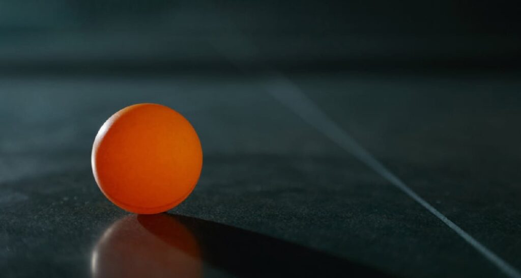 Nittaku table tennis ball