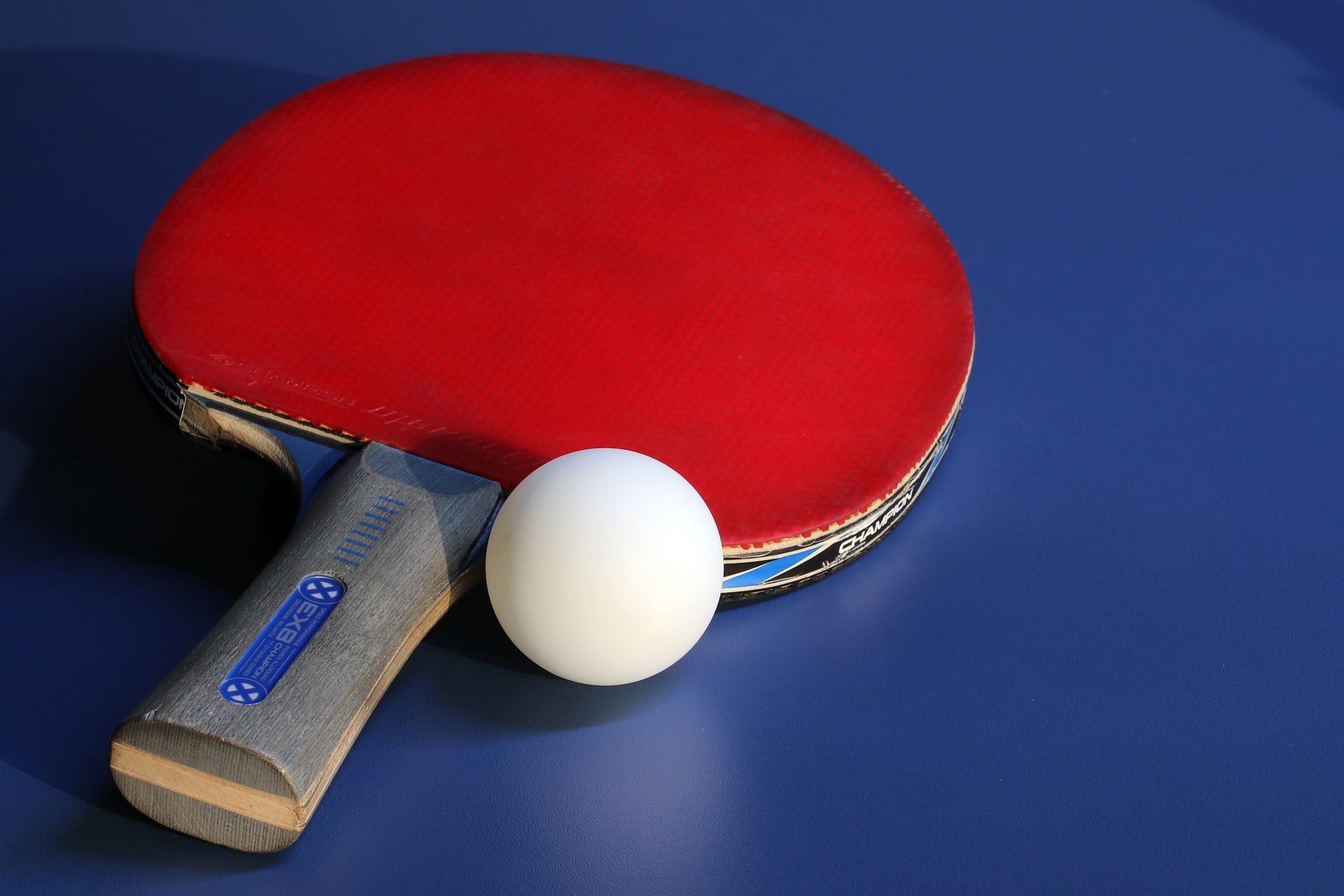best ping pong paddles - ranked by pong place