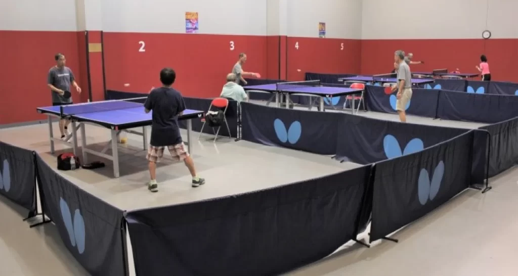 USA Sports Ping Pong Center