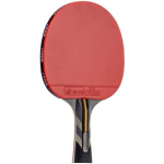 Best Ping Pong Paddles of 2023: Our Favorites 10 STIGA Raptor
