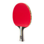 Best Ping Pong Paddles of 2023: Our Favorites 8 STIGA Titan
