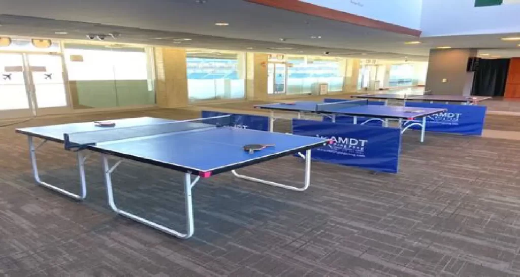 AMDT Ping Pong