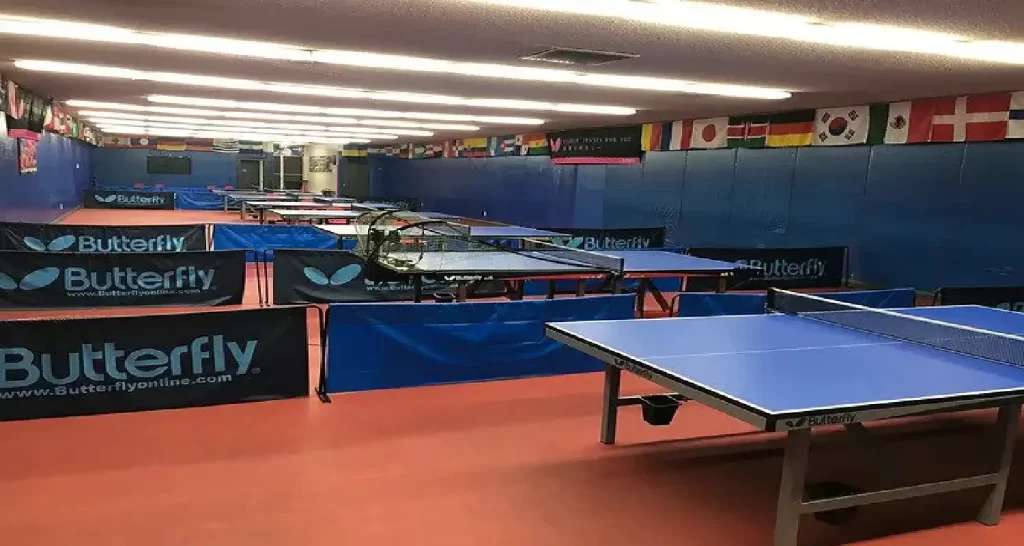 Allen and Sons Table Tennis Club